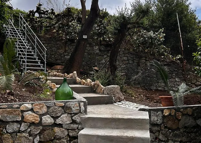 别墅 Cycas 马拉泰亚