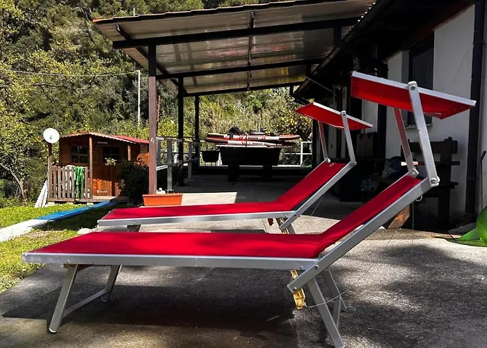 Cycas * 马拉泰亚